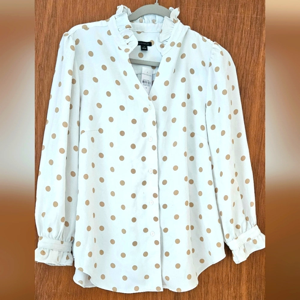 Brand New Ann Taylor Top